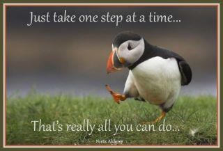 quotes
