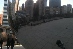 chicago the bean