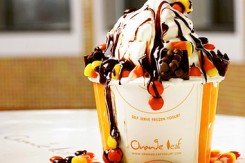 orange leaf frozen yogurt st louis