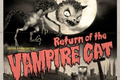 Vampire Cat Image