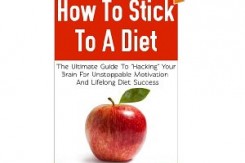 how to stick to a diet book