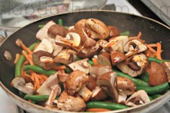 vegetarian meal plan