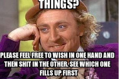 wish quote