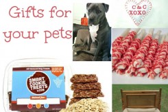 Valentines Day Gift Ideas For Your Pet