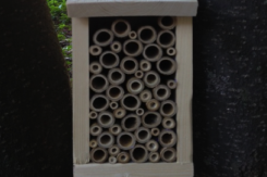 home depot bee box