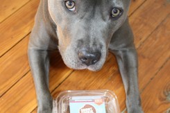 Smart Cookie Dog Treats