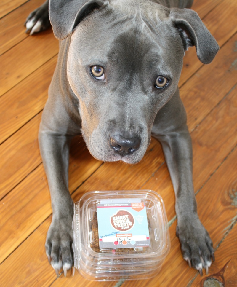 Smart Cookie Dog Treats