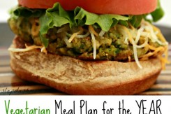 Vegetarian Meal Plan