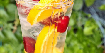 glassdharma straws