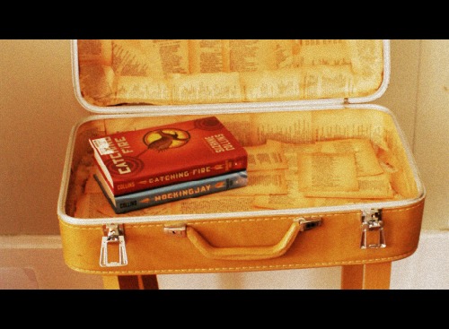 old suit case book shelf