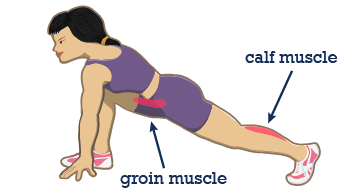 prevent groin muscle pull