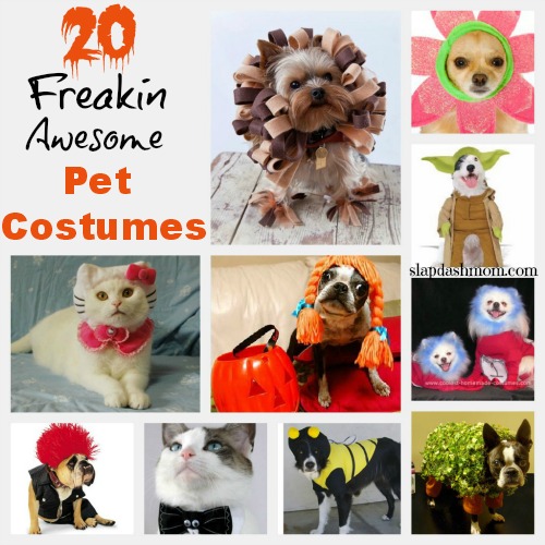 Last Minute Pet Costumes