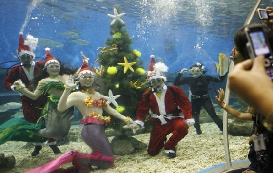 underwater christmas tree