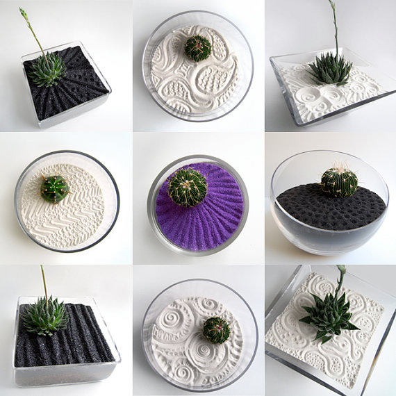 How to Make a Mini Zen Garden