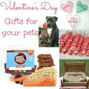 Valentines Day Gift Ideas For Your Pet
