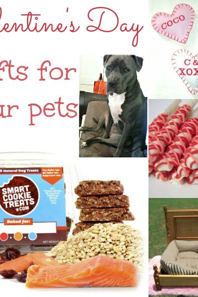Valentines Day Gift Ideas For Your Pet