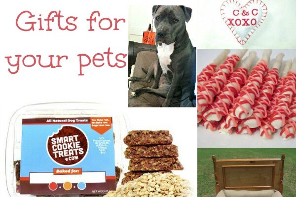 Valentines Day Gift Ideas For Your Pet