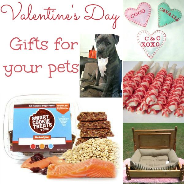 10 Valentines Day Gift Ideas For Your Pet