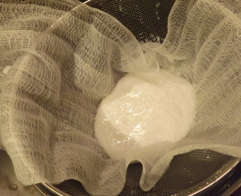How to Make Coconut Shampoo