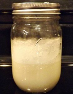 How to Make Coconut Shampoo