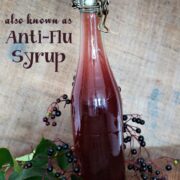 Elderberry and Honey Syrup