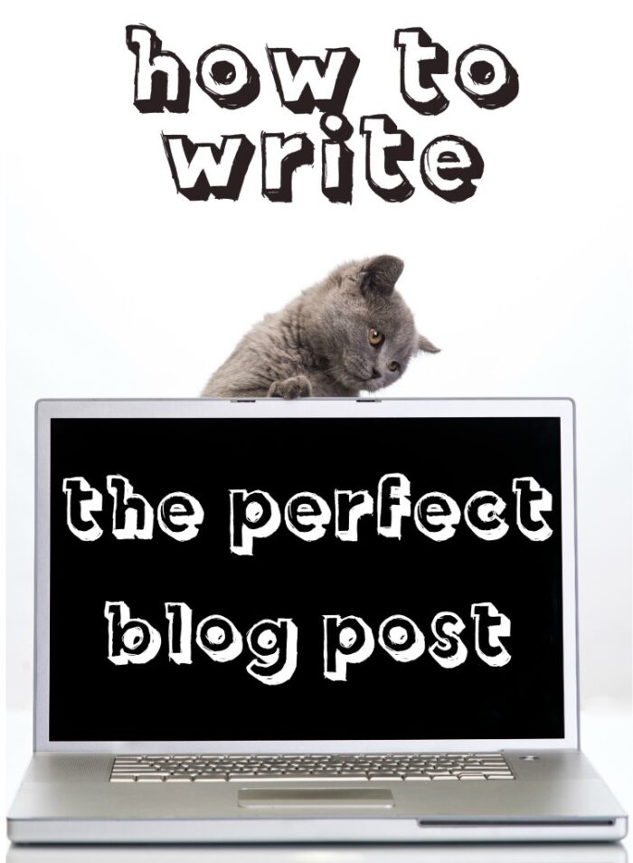 How to Write the Perfect Blog Post