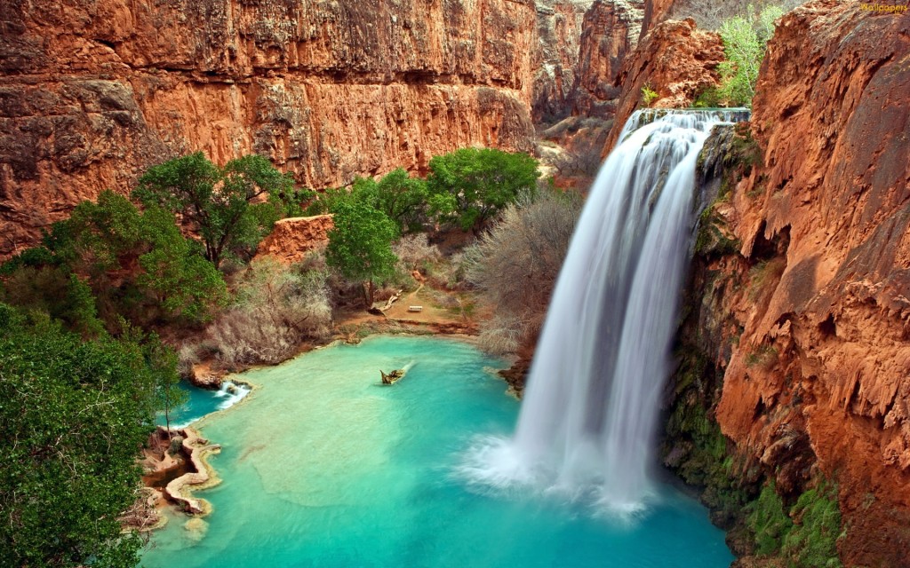 Havasu Falls - Things to do in Arizona