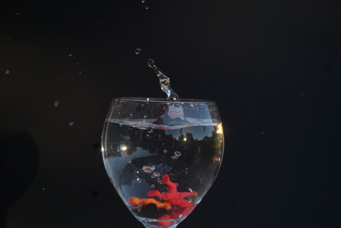 frozen liquid motion