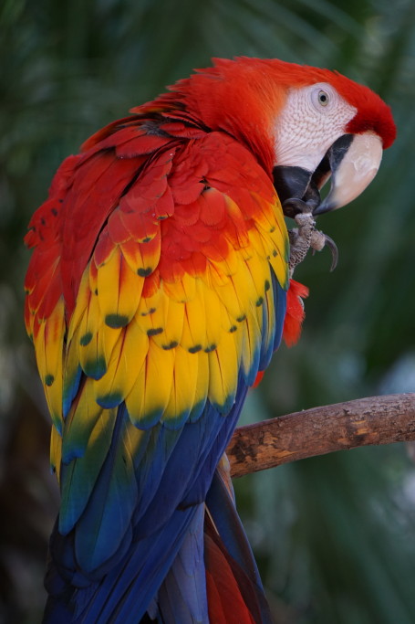 how to get sharper photos