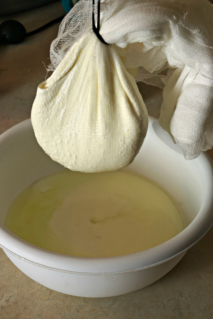 strain homemade yogurt Slap Dash Mom