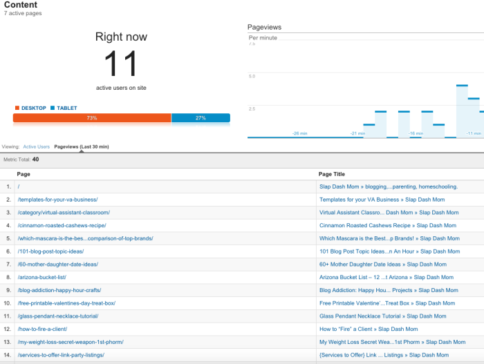 How to Use Real Time Analytics to Increase Blog Traffic and Income