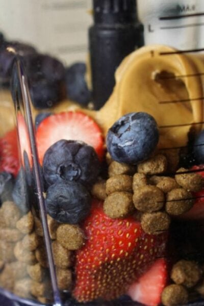 Home made Dog Treats with Fruit