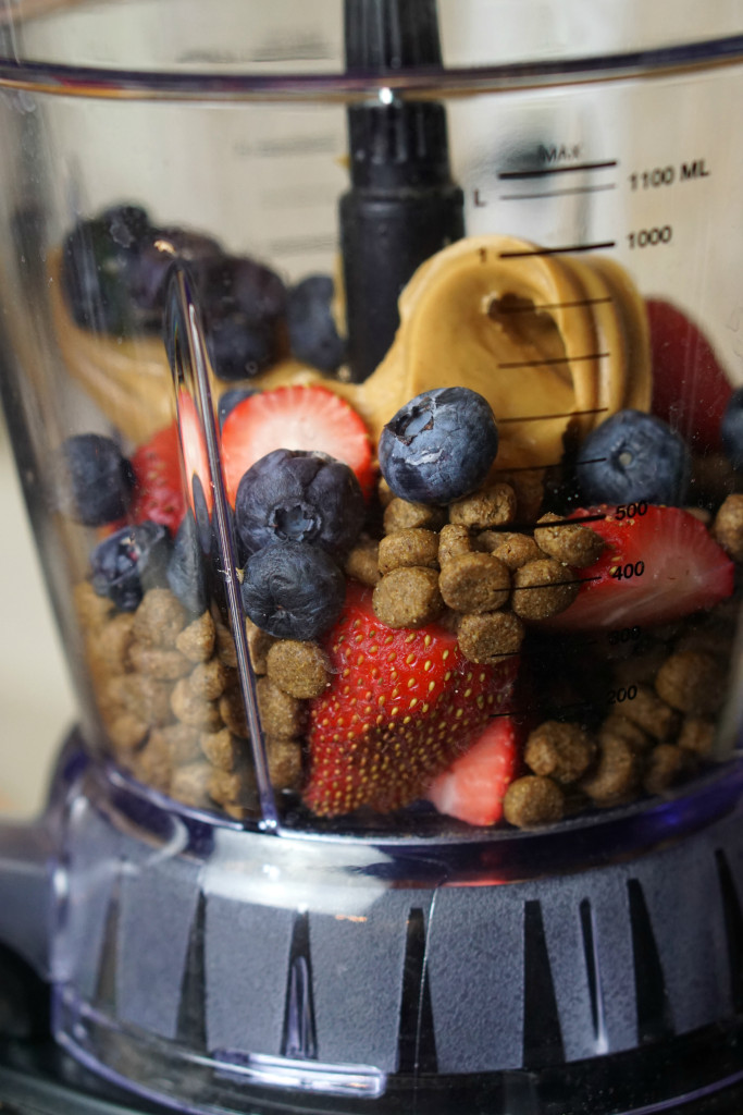 Photo inspiration: Homemade Dog Treats Made With Fruit Reference: Homemade Dog Treats With Fruit For The Bestdogever