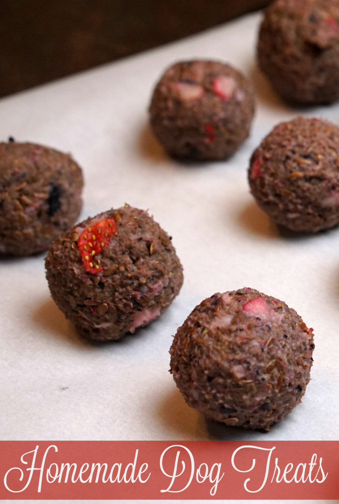 Homemade Dog Treats With Fruit for the BestDogEver Slap Dash Mom