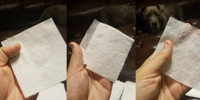 charmin vs 1000 sheet brand