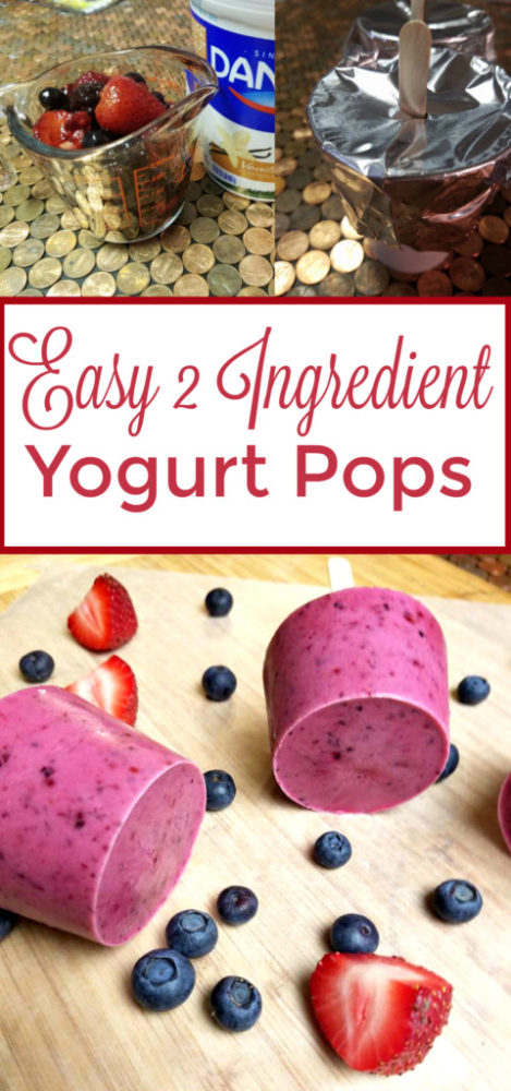 Easy Yogurt Fruit Pops - Love that there are only 2 ingredients! (Mixed berries + yogurt)