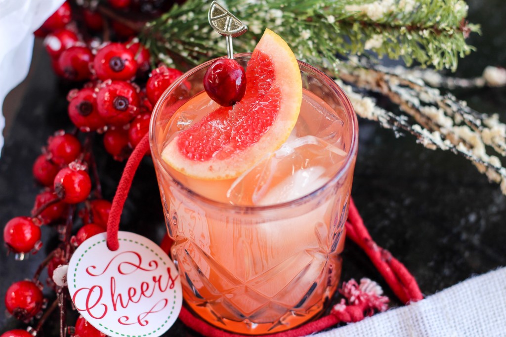 Blood Orange Mocktail with Grapefruit Slap Dash Mom