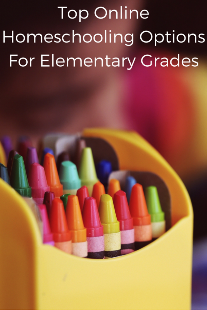 Top Online Homeschooling Options For Elementary Grades