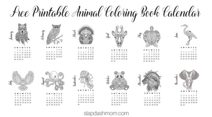 Animal Coloring Book Calendar