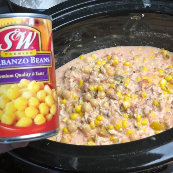 Queso Chicken Chili Crock Pot Recipe Slap Dash Mom