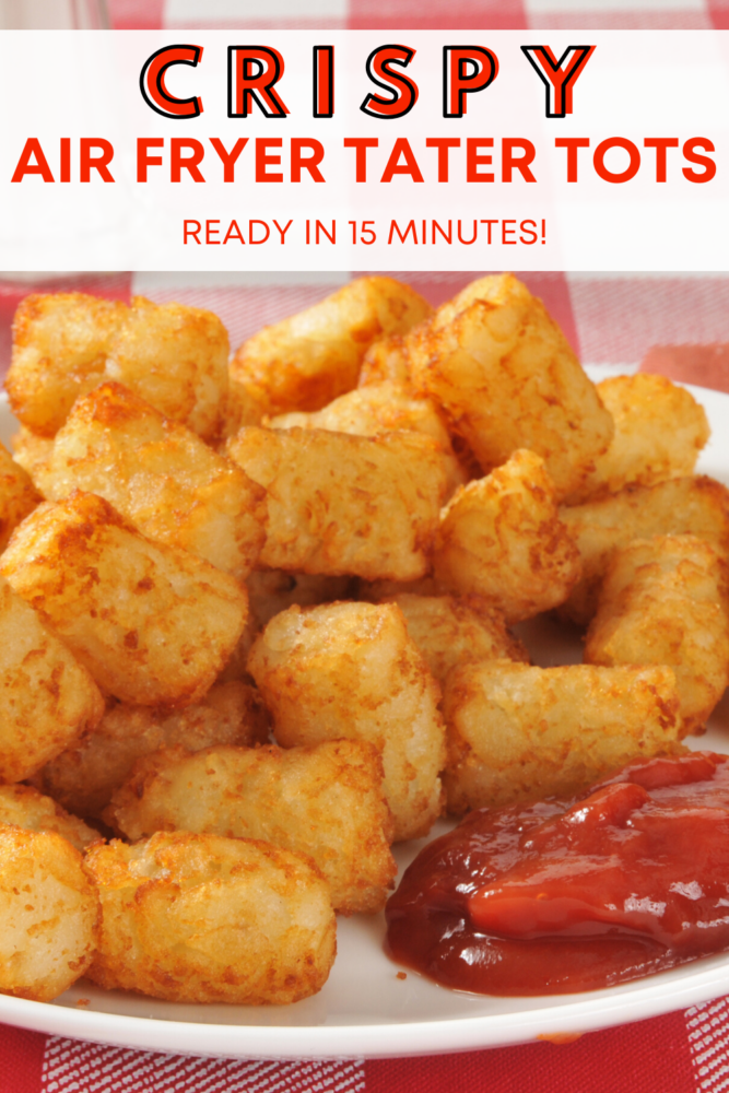 15 Minute Air Fryer Tater Tots - Midwest Foodie