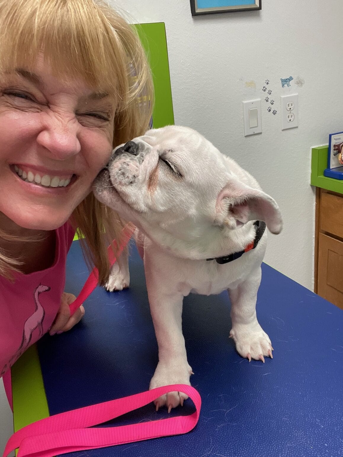 Homemade Dog Treats Peanut Butter Cookies Slap Dash Mom