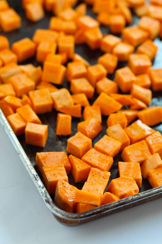 Roasted Sweet Potato Cranberry Wild Rice Salad