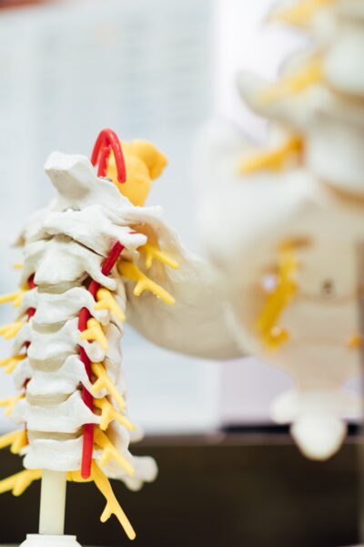 Chiropractor for Weight Loss