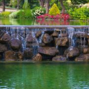 Adding a water feature to your outdoor garden