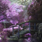 Zen Garden Renovation Ideas