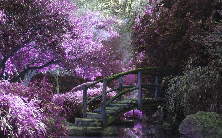 Creating a Zen Garden: Renovation Ideas for a Peaceful and Serene Outdoor Retreat