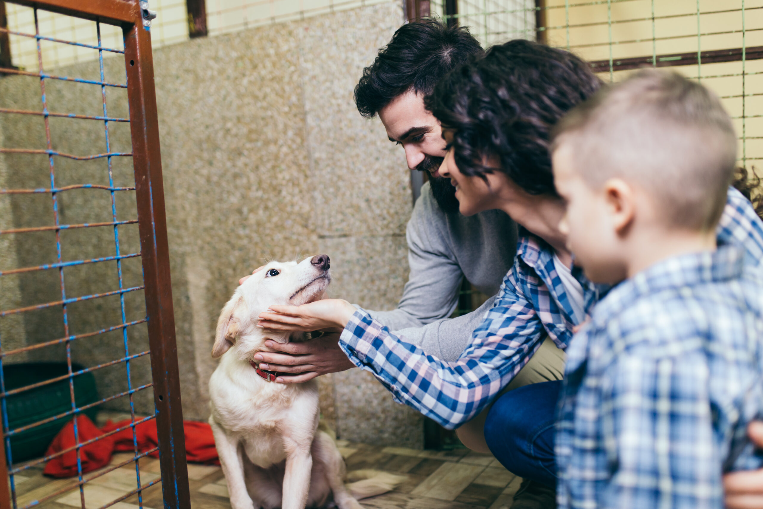How To Adopt a Dog: Tips for First-Time Pet Owners