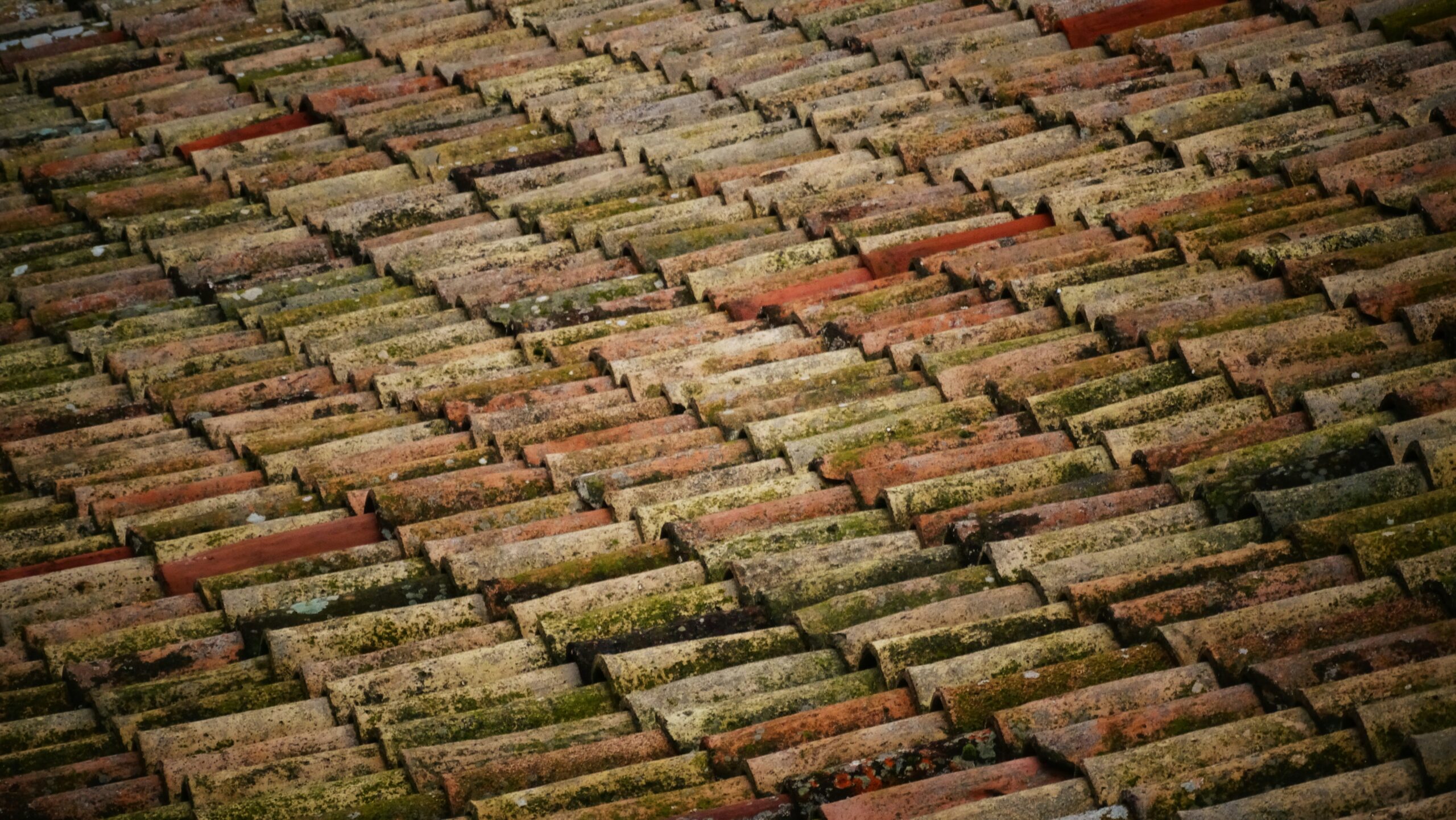 Seasonal Maintenance Checklist for Protecting Your Roof