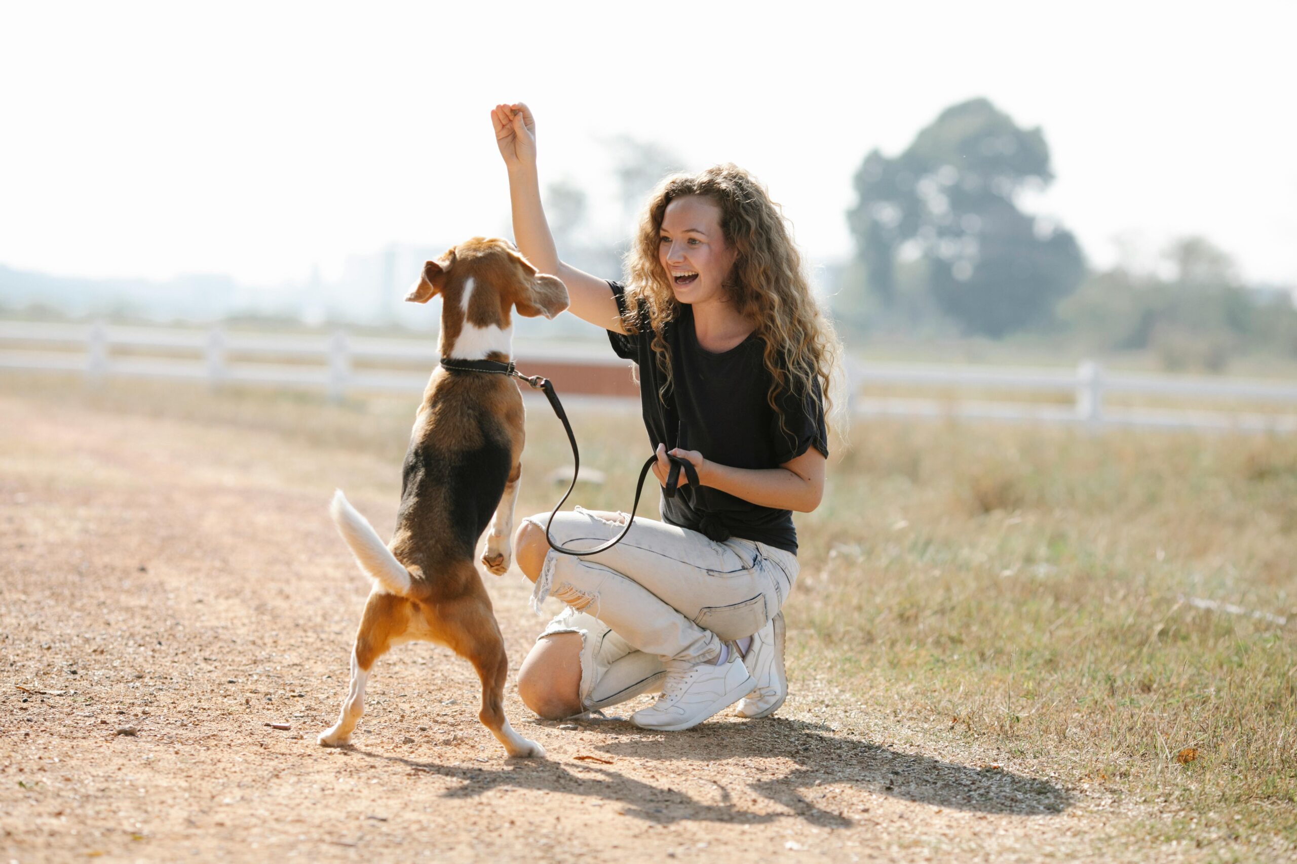 A List of 5 Puppy Training Options Near Clermont Florida